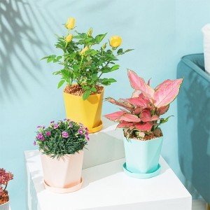 Croft Γλάστρα Με Πιάτο Πλαστική 14,5x15,5cm