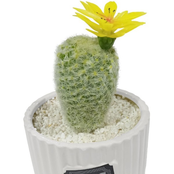 Mini Cactus Διακοσμητικό Τεχνητό Φυτό σε Γλαστράκι