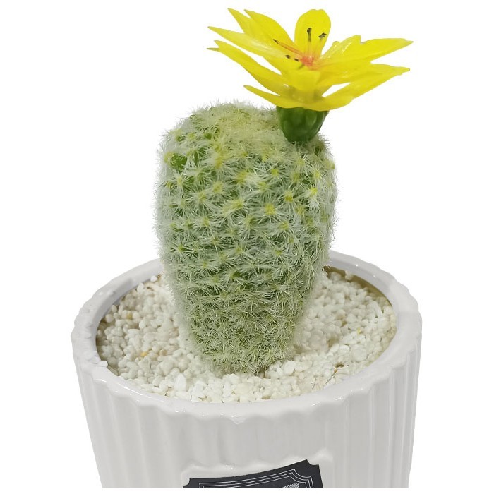 Mini Cactus Διακοσμητικό Τεχνητό Φυτό σε Γλαστράκι