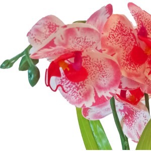 Faux Orchid Διακοσμητικό Τεχνητό Φυτό σε Γλαστράκι