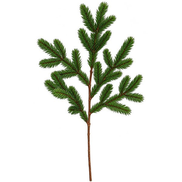 Evergreen Pine Διακοσμητικό Κλαδί Έλατο 67cm