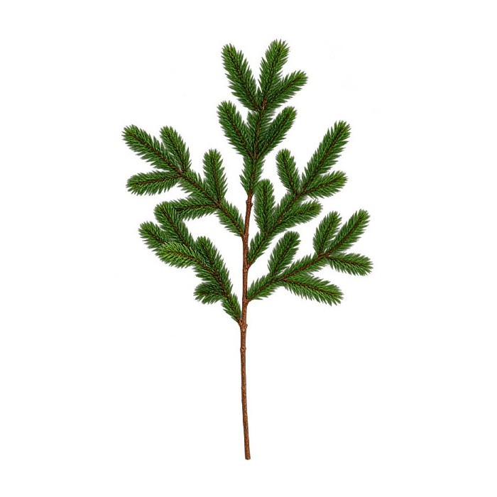 Evergreen Pine Διακοσμητικό Κλαδί Έλατο 67cm