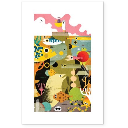 Sea Animals Poster Με Μαύρη Ξύλινη Κορνίζα 20x30cm